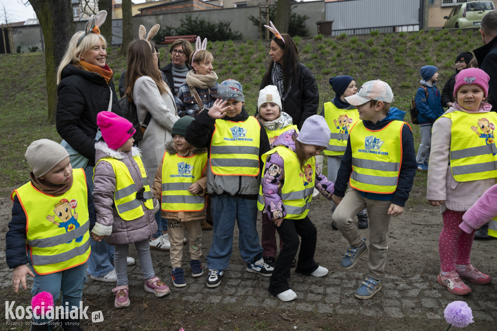 Kwietna łąka z pomponów na Wałach Żegockiego