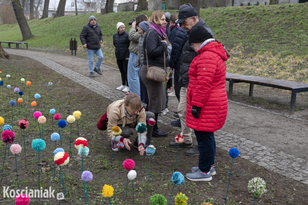 Kwietna łąka z pomponów na Wałach Żegockiego