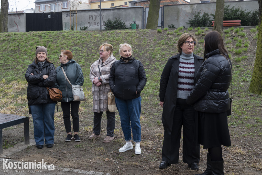 Kwietna łąka z pomponów na Wałach Żegockiego