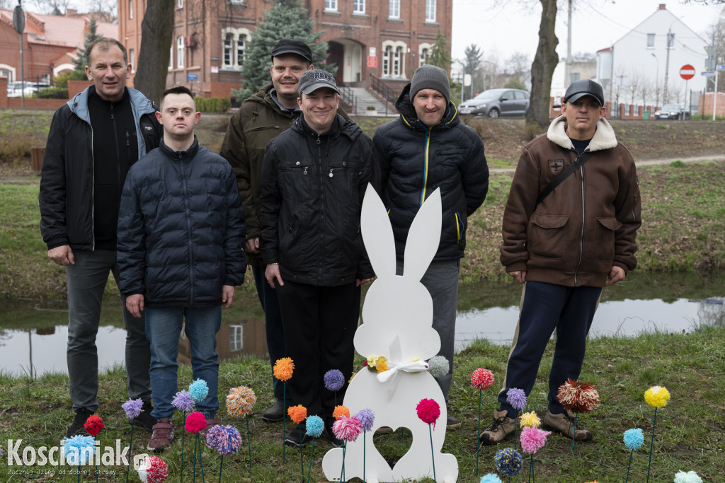 Kwietna łąka z pomponów na Wałach Żegockiego