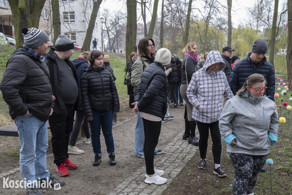 Kwietna łąka z pomponów na Wałach Żegockiego