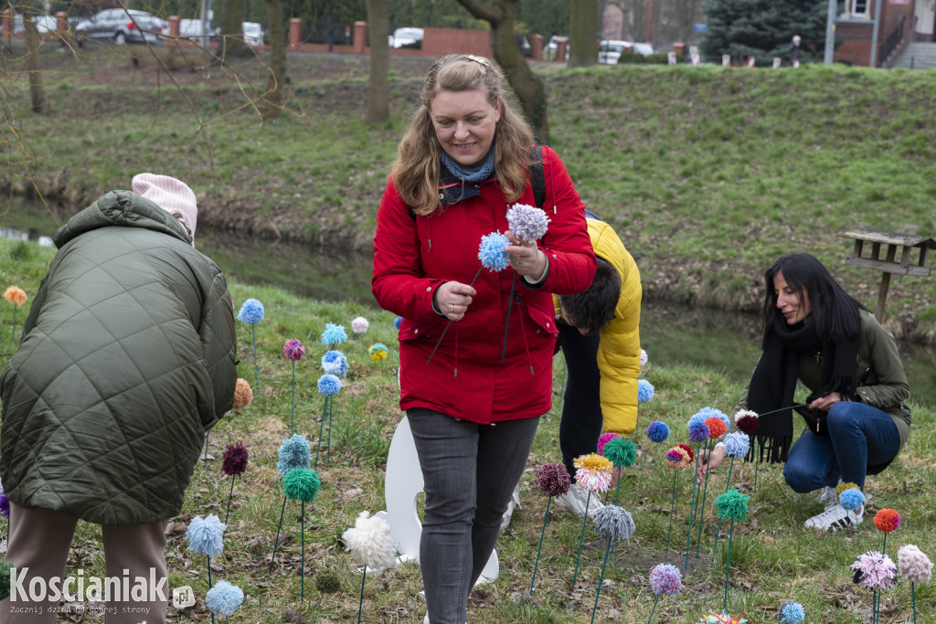 Kwietna łąka z pomponów na Wałach Żegockiego