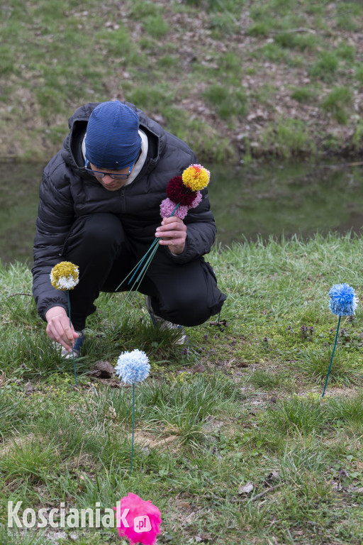 Kwietna łąka z pomponów na Wałach Żegockiego