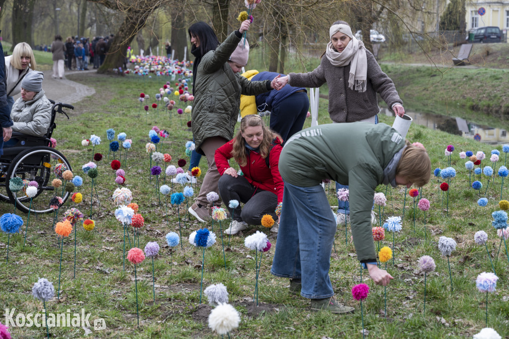Kwietna łąka z pomponów na Wałach Żegockiego