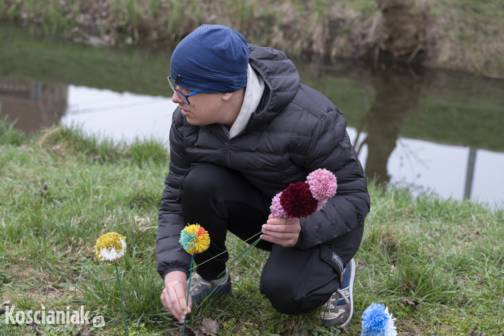 Kwietna łąka z pomponów na Wałach Żegockiego