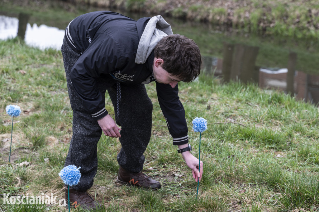 Kwietna łąka z pomponów na Wałach Żegockiego