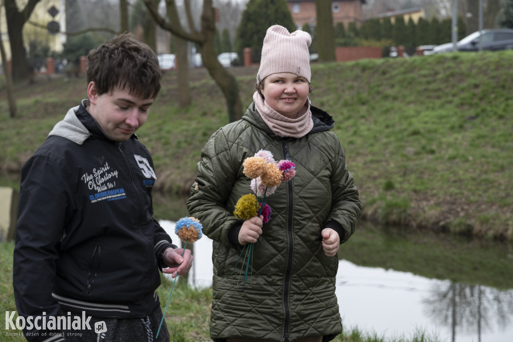 Kwietna łąka z pomponów na Wałach Żegockiego