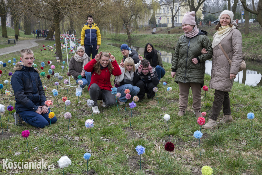Kwietna łąka z pomponów na Wałach Żegockiego