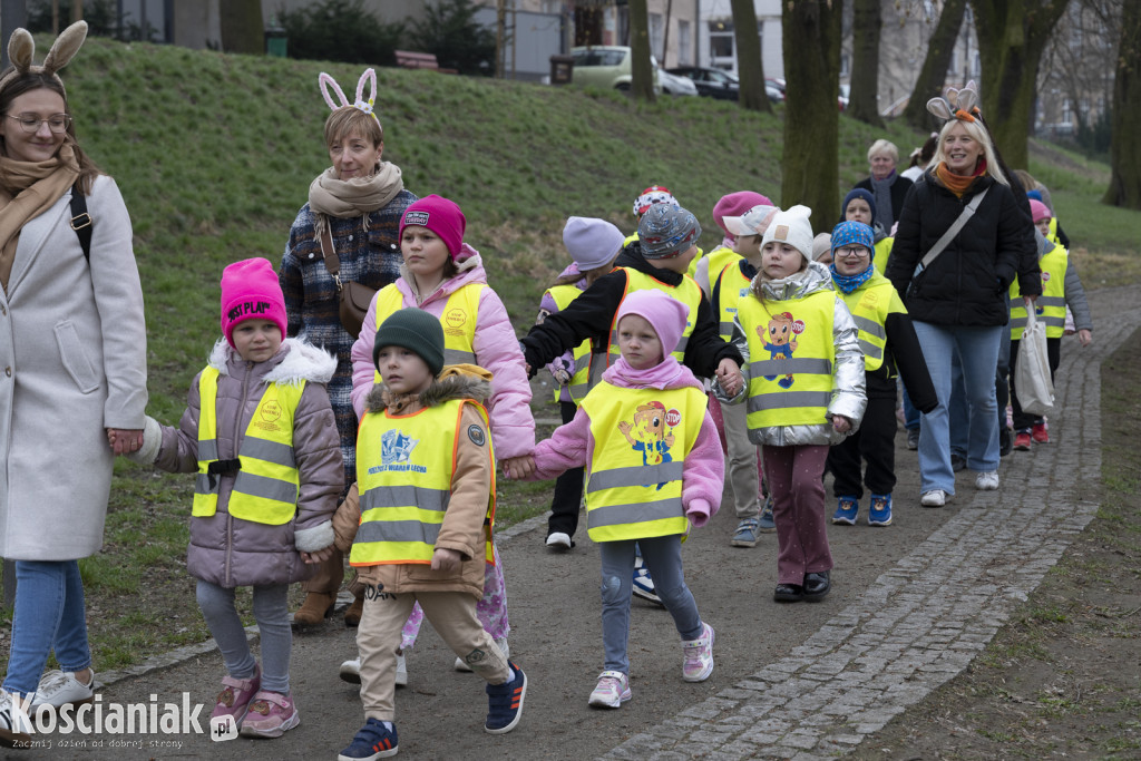 Kwietna łąka z pomponów na Wałach Żegockiego
