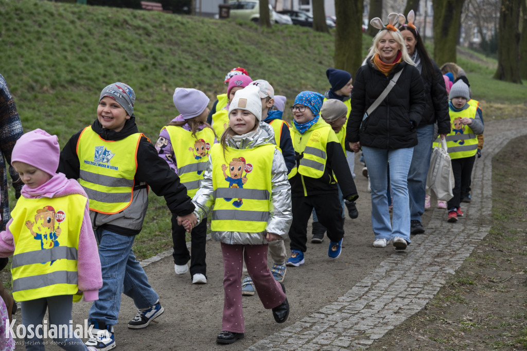 Kwietna łąka z pomponów na Wałach Żegockiego