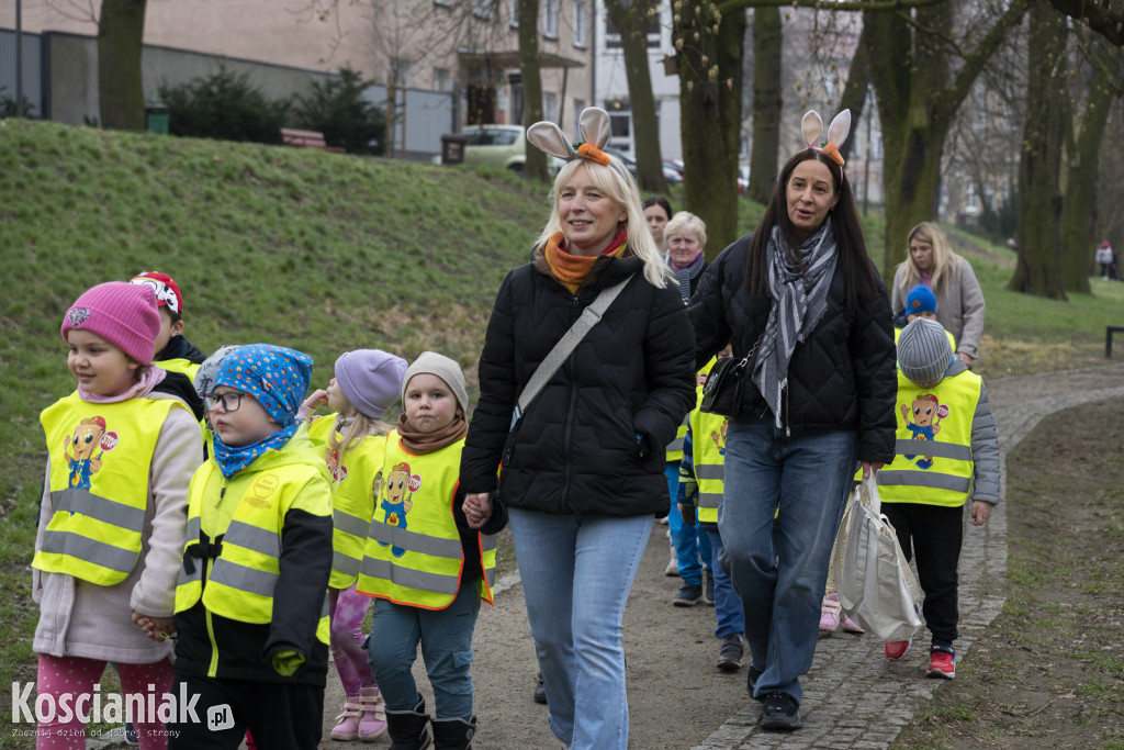 Kwietna łąka z pomponów na Wałach Żegockiego