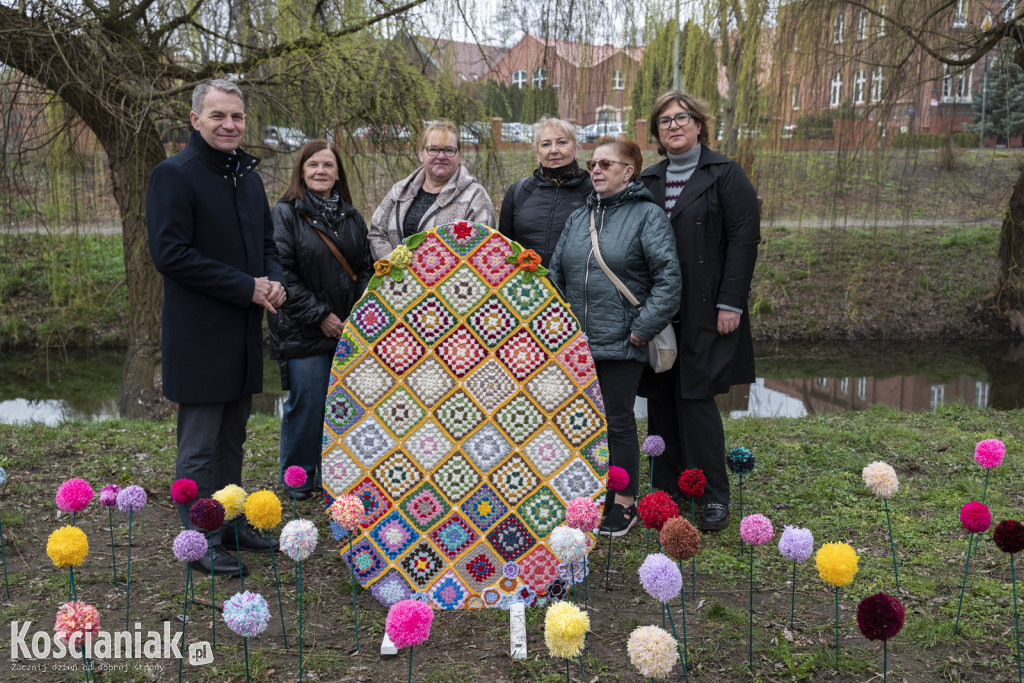 Kwietna łąka z pomponów na Wałach Żegockiego