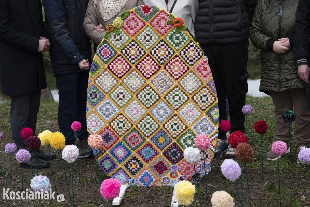 Kwietna łąka z pomponów na Wałach Żegockiego