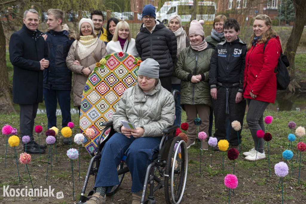 Kwietna łąka z pomponów na Wałach Żegockiego