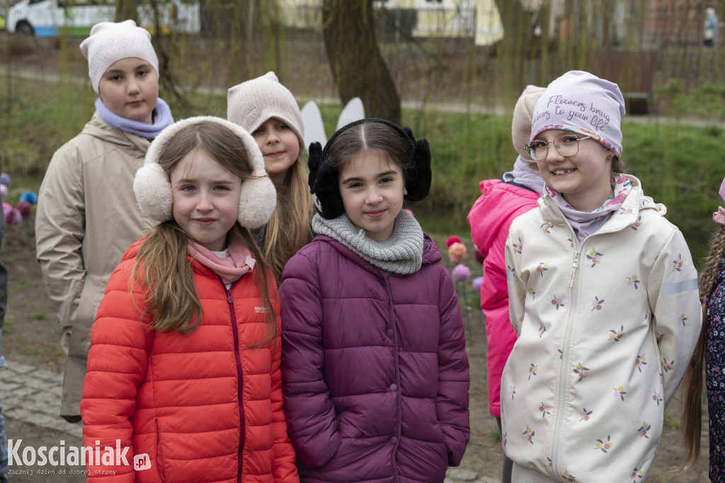 Kwietna łąka z pomponów na Wałach Żegockiego