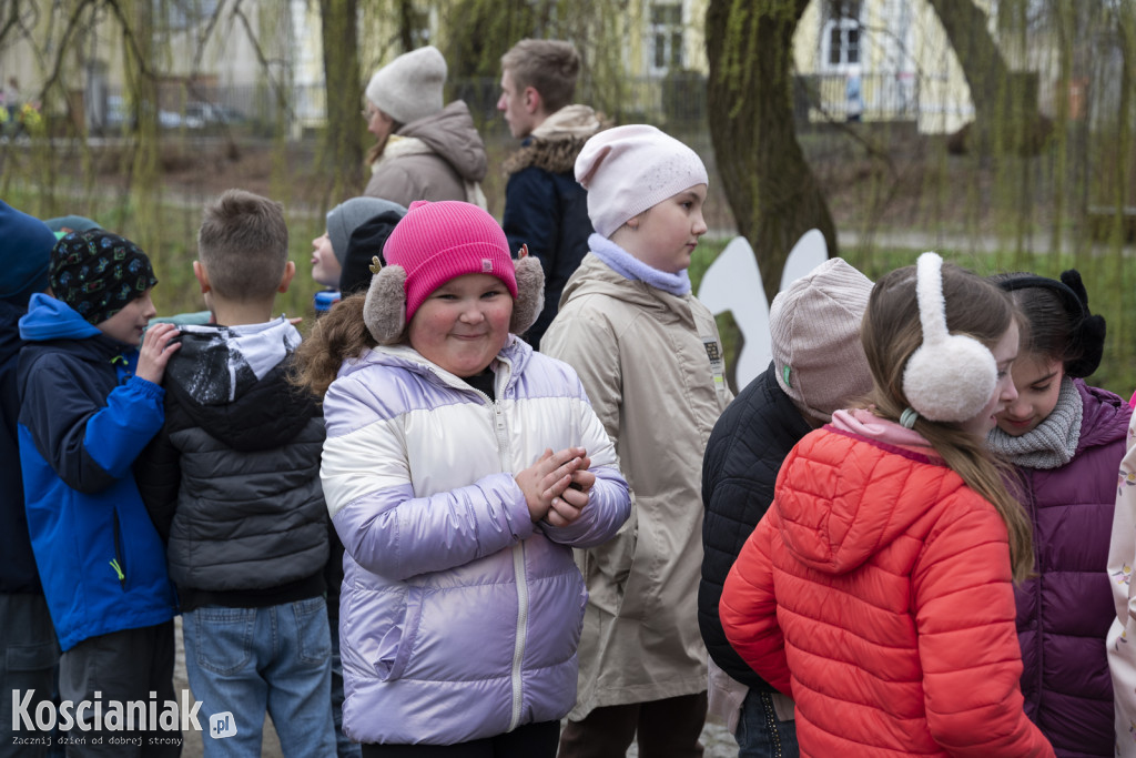 Kwietna łąka z pomponów na Wałach Żegockiego