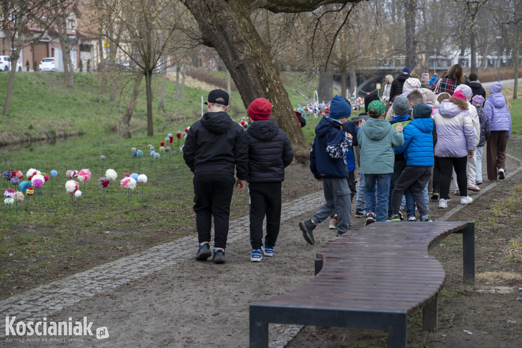 Kwietna łąka z pomponów na Wałach Żegockiego