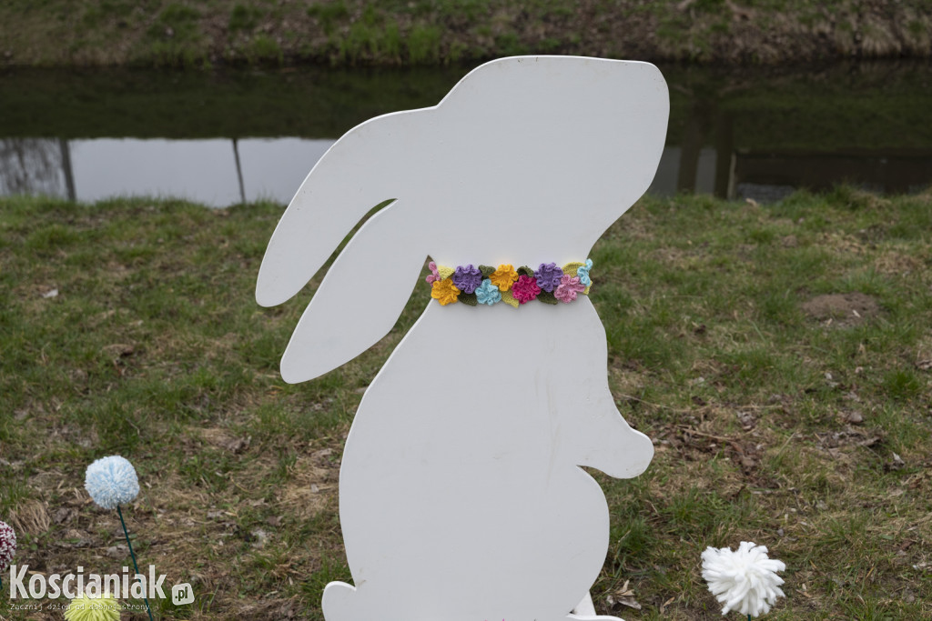 Kwietna łąka z pomponów na Wałach Żegockiego