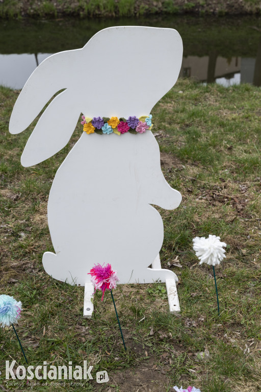 Kwietna łąka z pomponów na Wałach Żegockiego