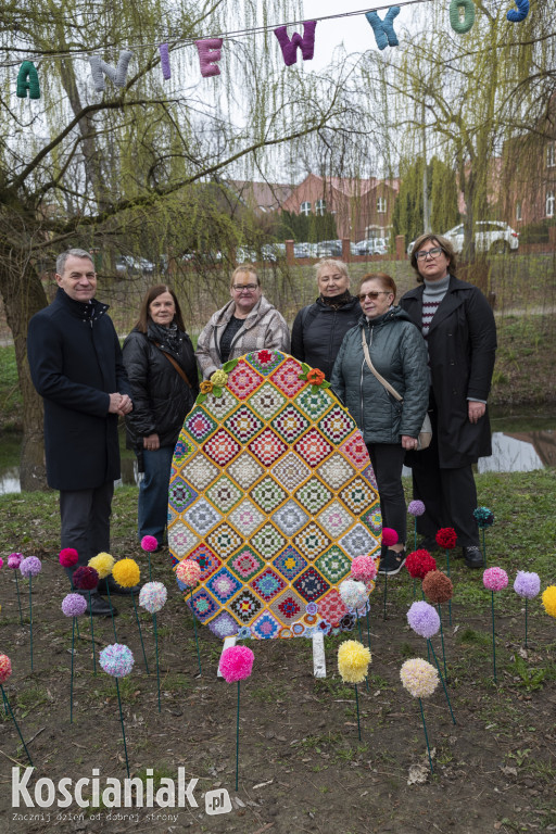 Kwietna łąka z pomponów na Wałach Żegockiego