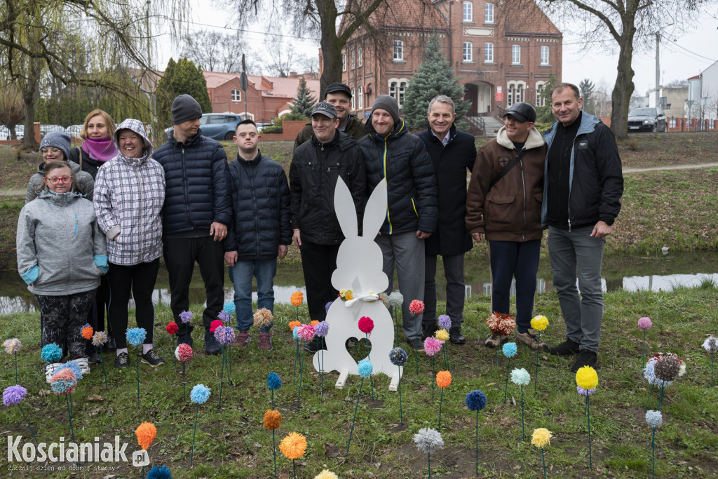 Kwietna łąka z pomponów na Wałach Żegockiego