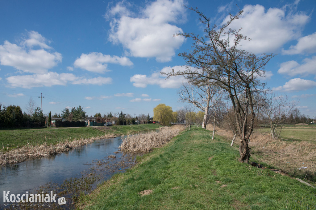 Kościański Trakt Rekreacyjny zostanie odnowiony i wydłużony