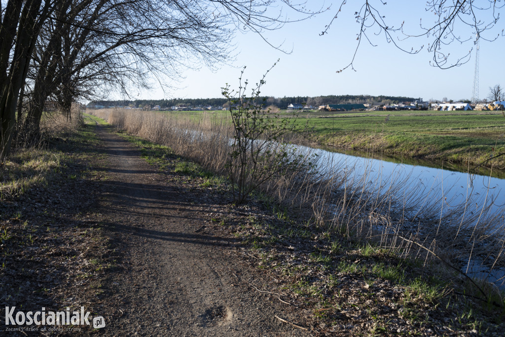 Kościański Trakt Rekreacyjny zostanie odnowiony i wydłużony