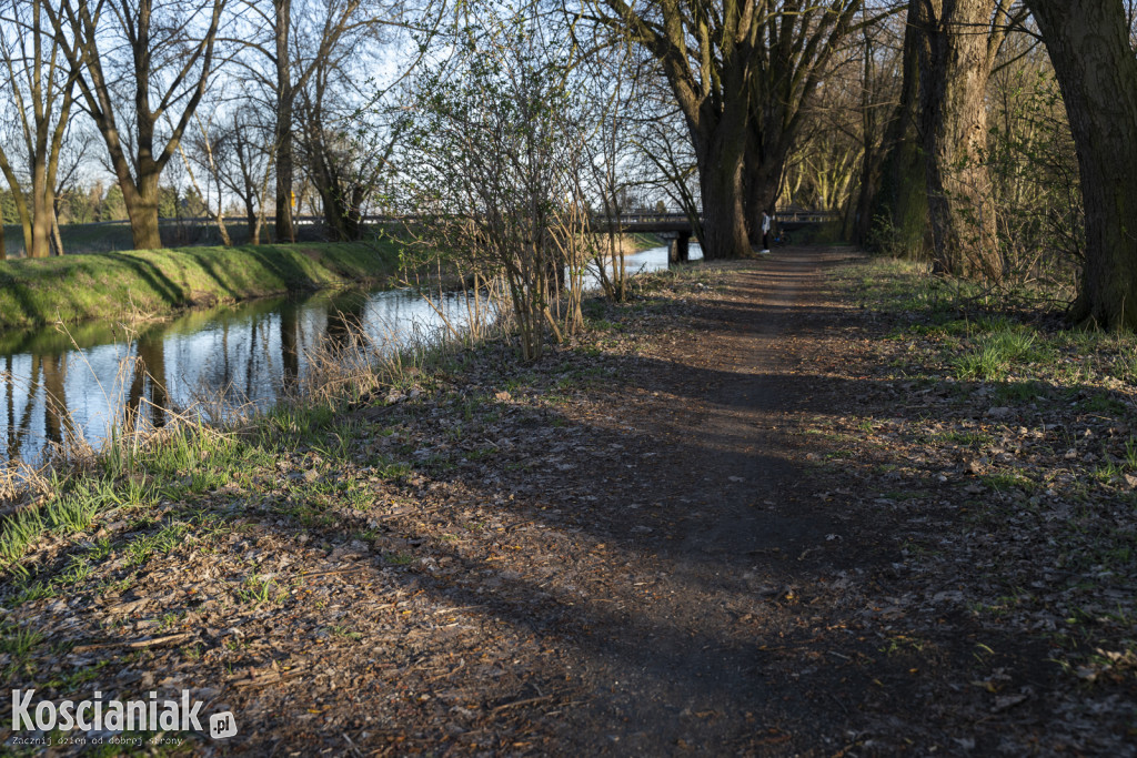Kościański Trakt Rekreacyjny zostanie odnowiony i wydłużony