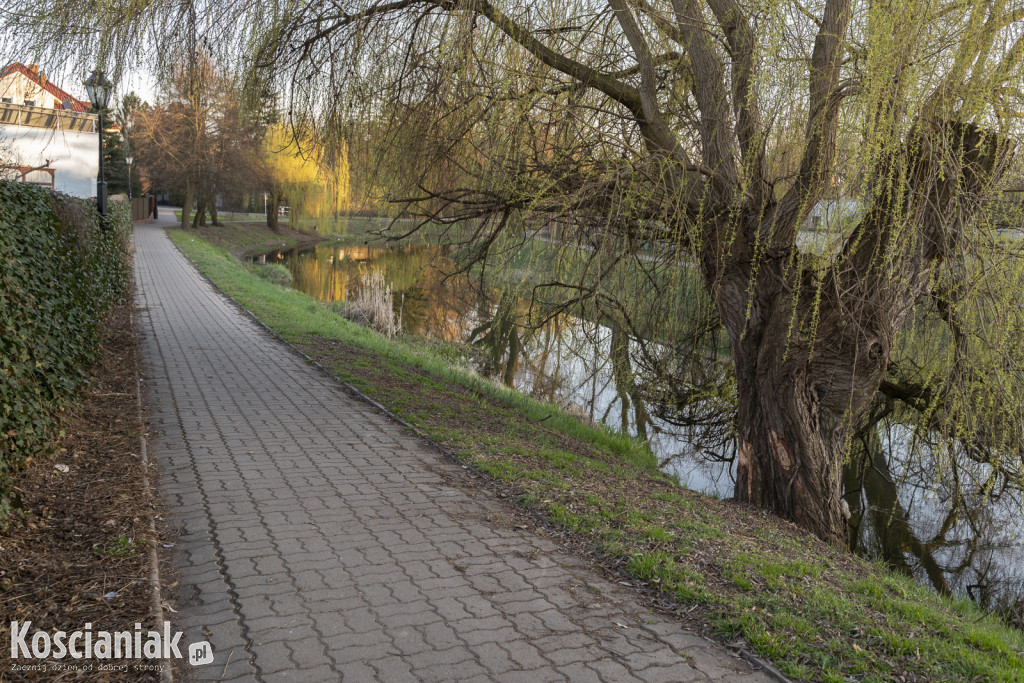 Kościański Trakt Rekreacyjny zostanie odnowiony i wydłużony