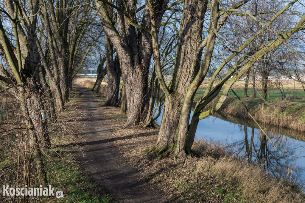 Kościański Trakt Rekreacyjny zostanie odnowiony i wydłużony