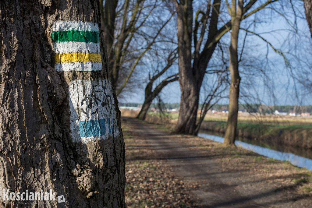 Kościański Trakt Rekreacyjny zostanie odnowiony i wydłużony