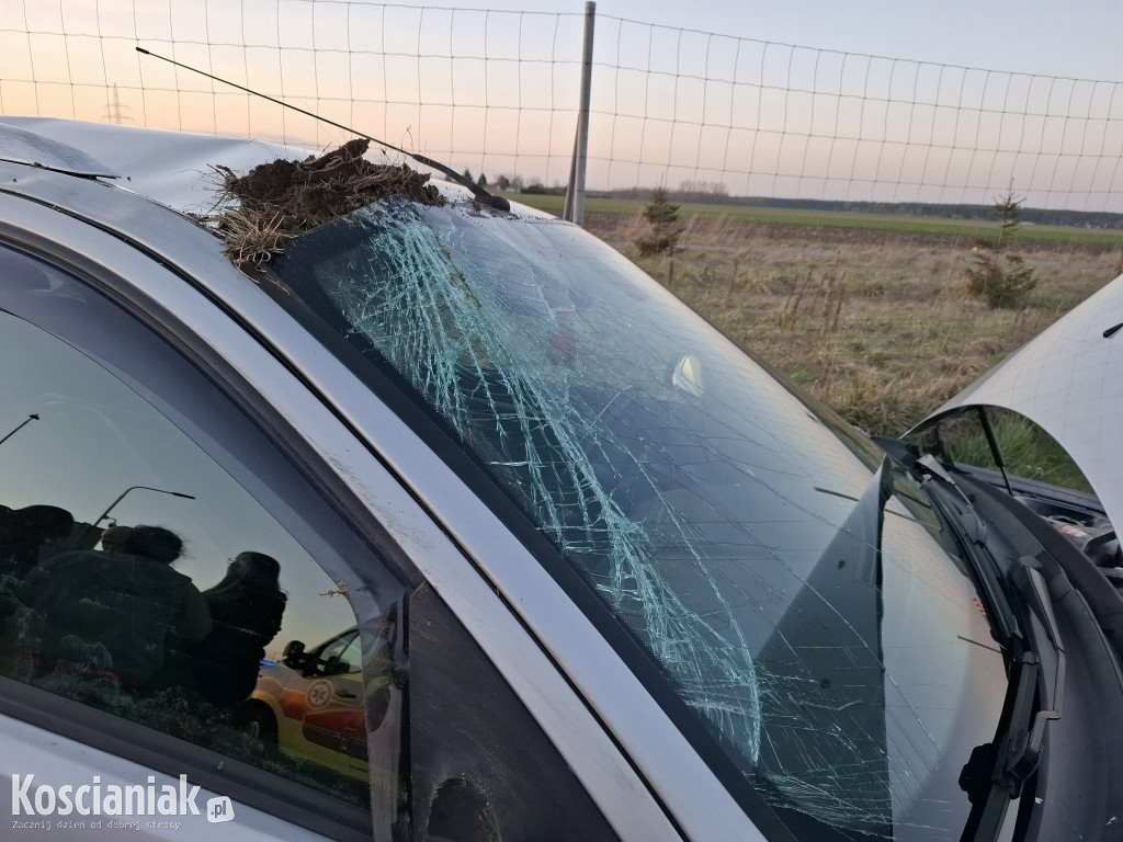 Wypadł z drogi na MOP Kokorzyn