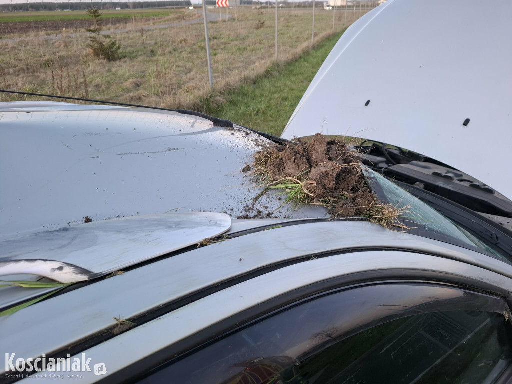 Wypadł z drogi na MOP Kokorzyn