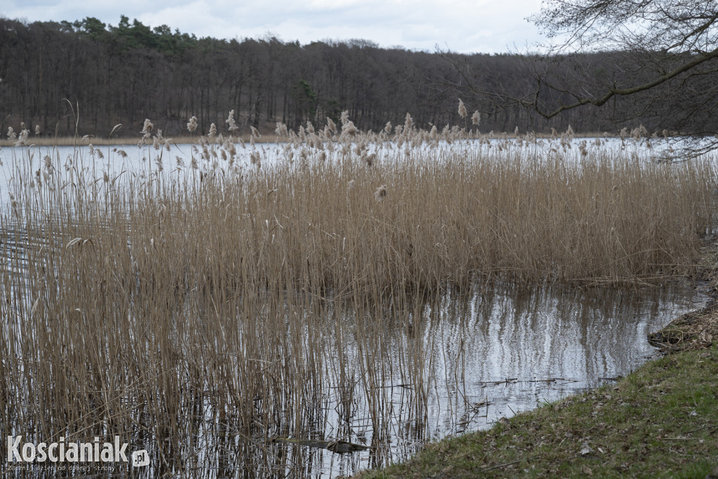 Niedziela Wielkanocna w Cichowie