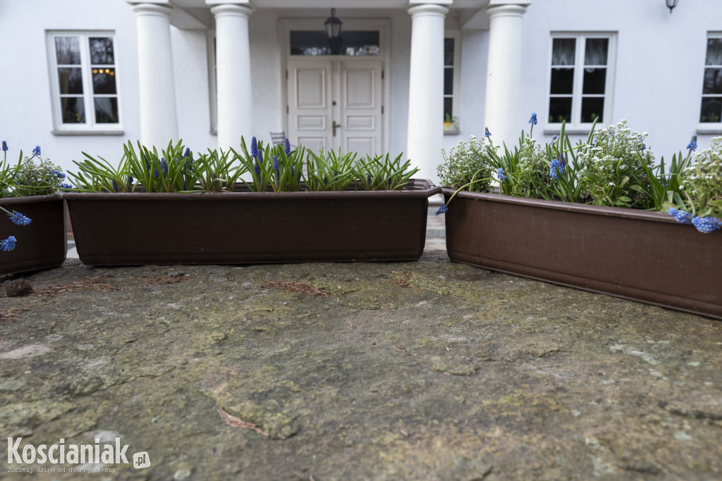 Niedziela Wielkanocna w Cichowie