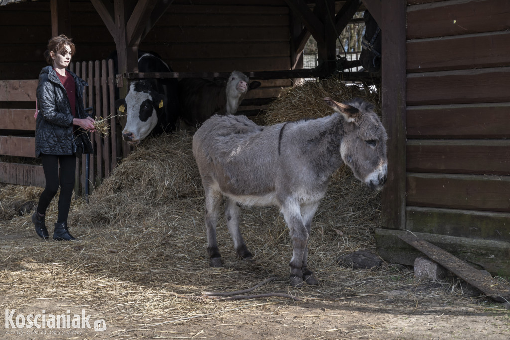 Niedziela Wielkanocna w Cichowie