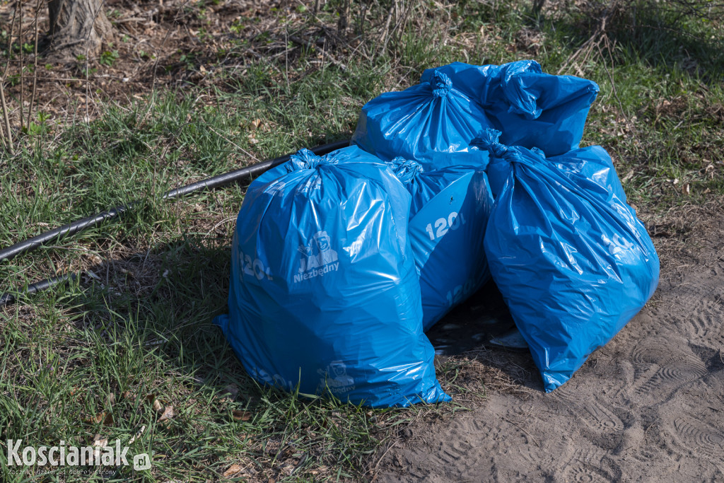 Czwarte sprzątanie lasu w Kurzej Górze