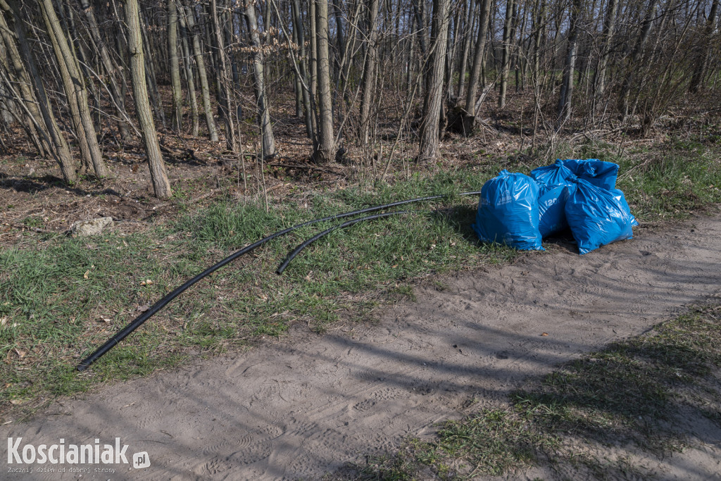 Czwarte sprzątanie lasu w Kurzej Górze