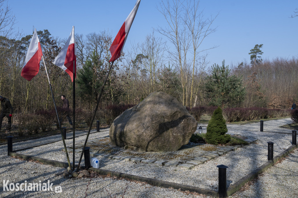 Czwarte sprzątanie lasu w Kurzej Górze