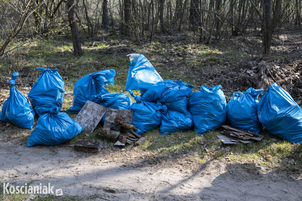 Czwarte sprzątanie lasu w Kurzej Górze