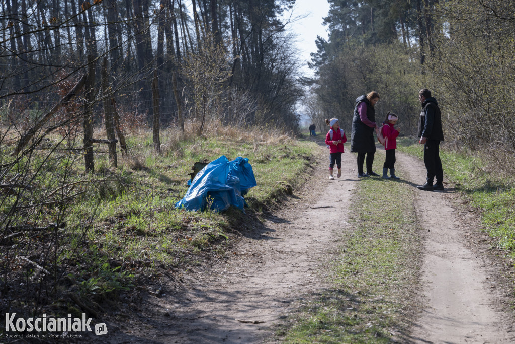 Czwarte sprzątanie lasu w Kurzej Górze