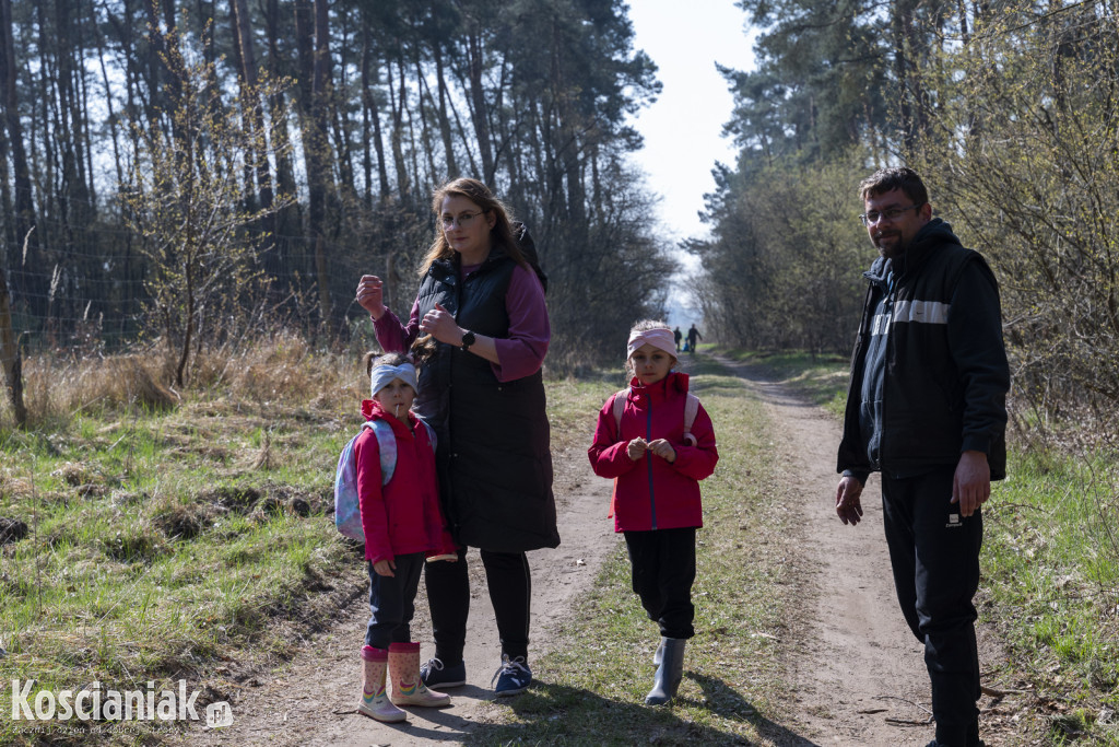 Czwarte sprzątanie lasu w Kurzej Górze