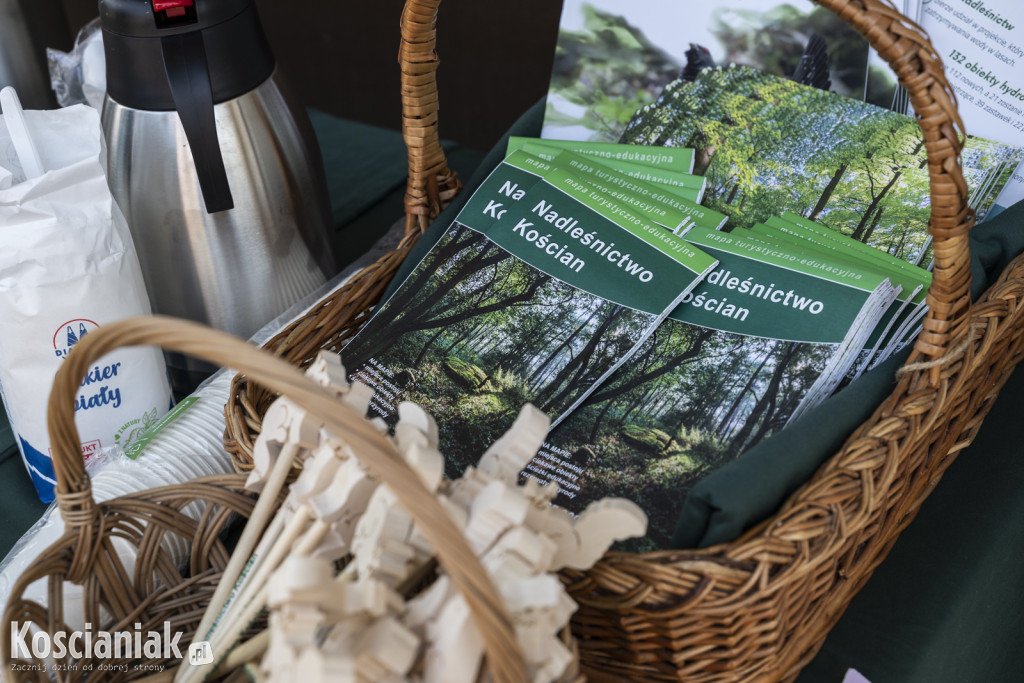 Czwarte sprzątanie lasu w Kurzej Górze