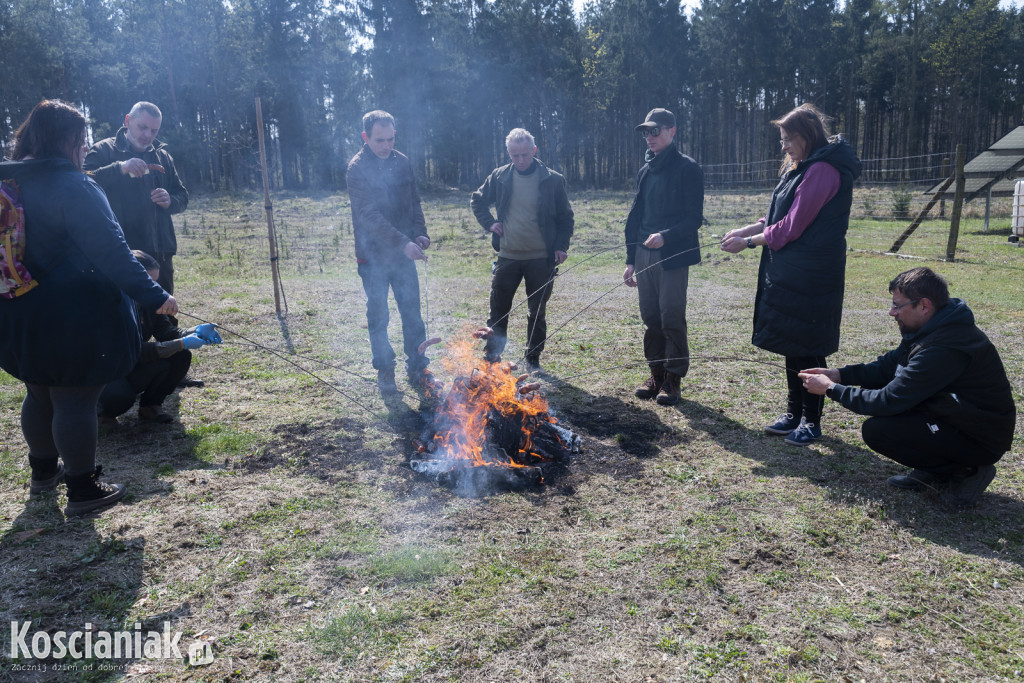 Czwarte sprzątanie lasu w Kurzej Górze