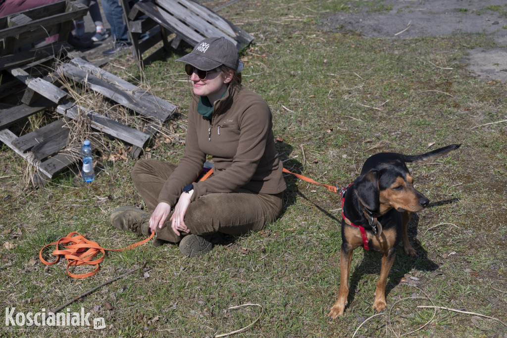 Czwarte sprzątanie lasu w Kurzej Górze