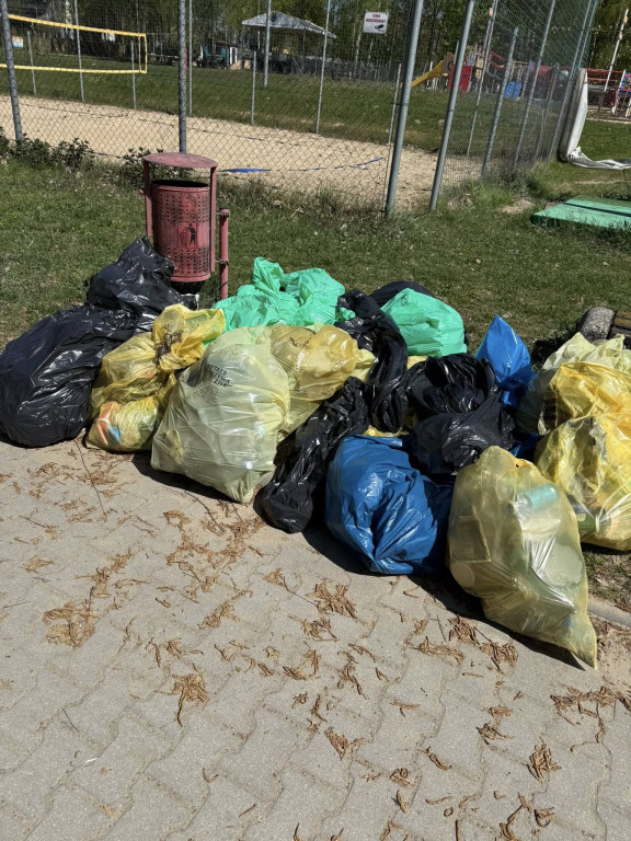 Akcja sprzątania letniska w Nowym Dębcu
