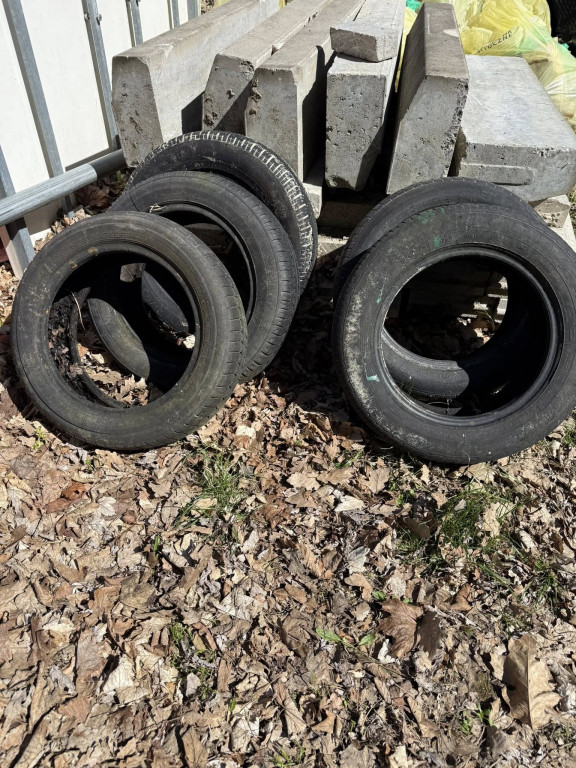 Akcja sprzątania letniska w Nowym Dębcu