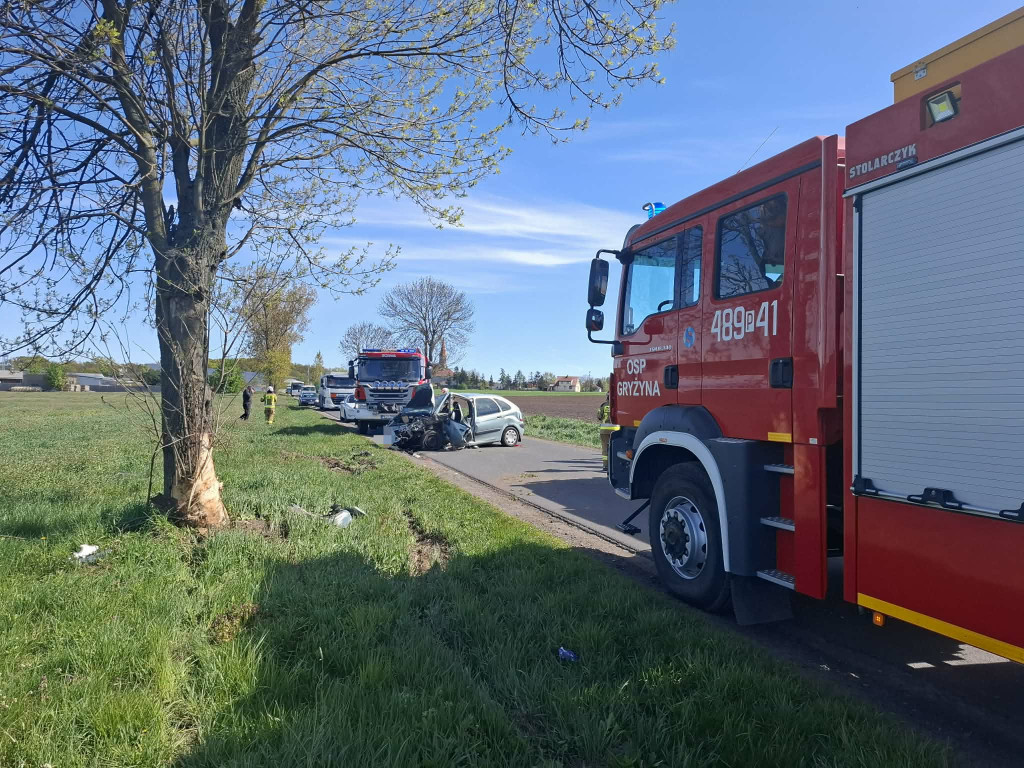 Uderzył w drzewo na drodze do Wonieścia