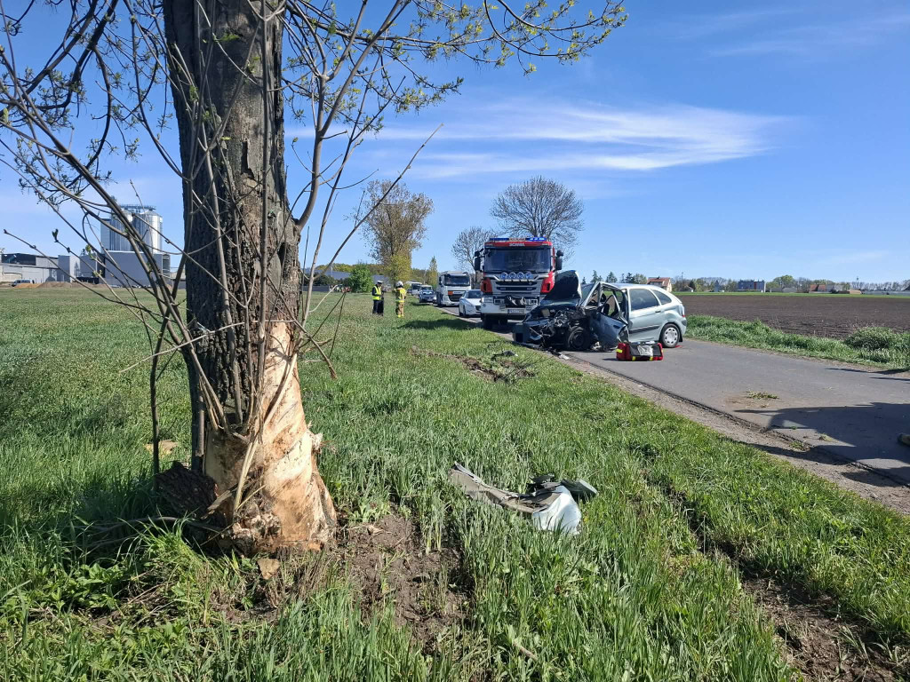 Uderzył w drzewo na drodze do Wonieścia