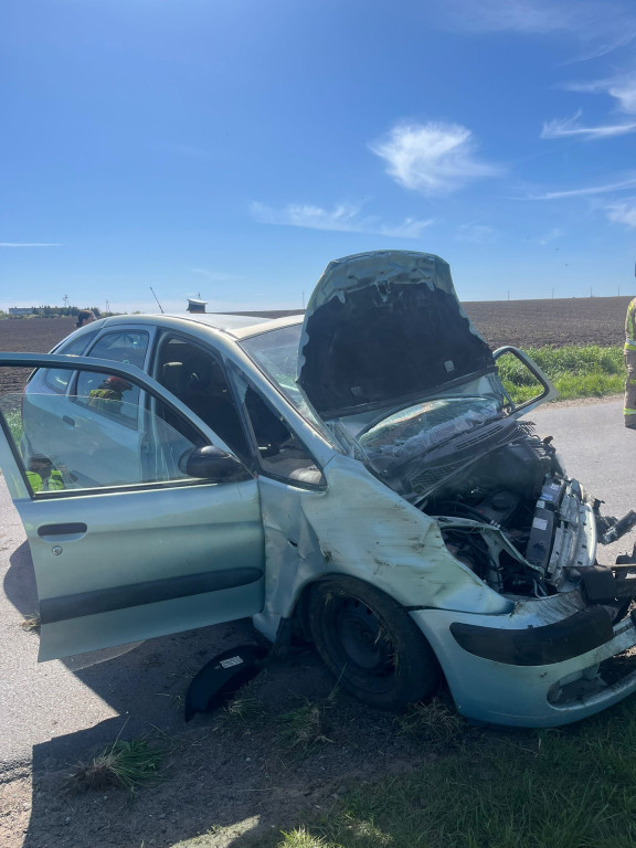 Uderzył w drzewo na drodze do Wonieścia